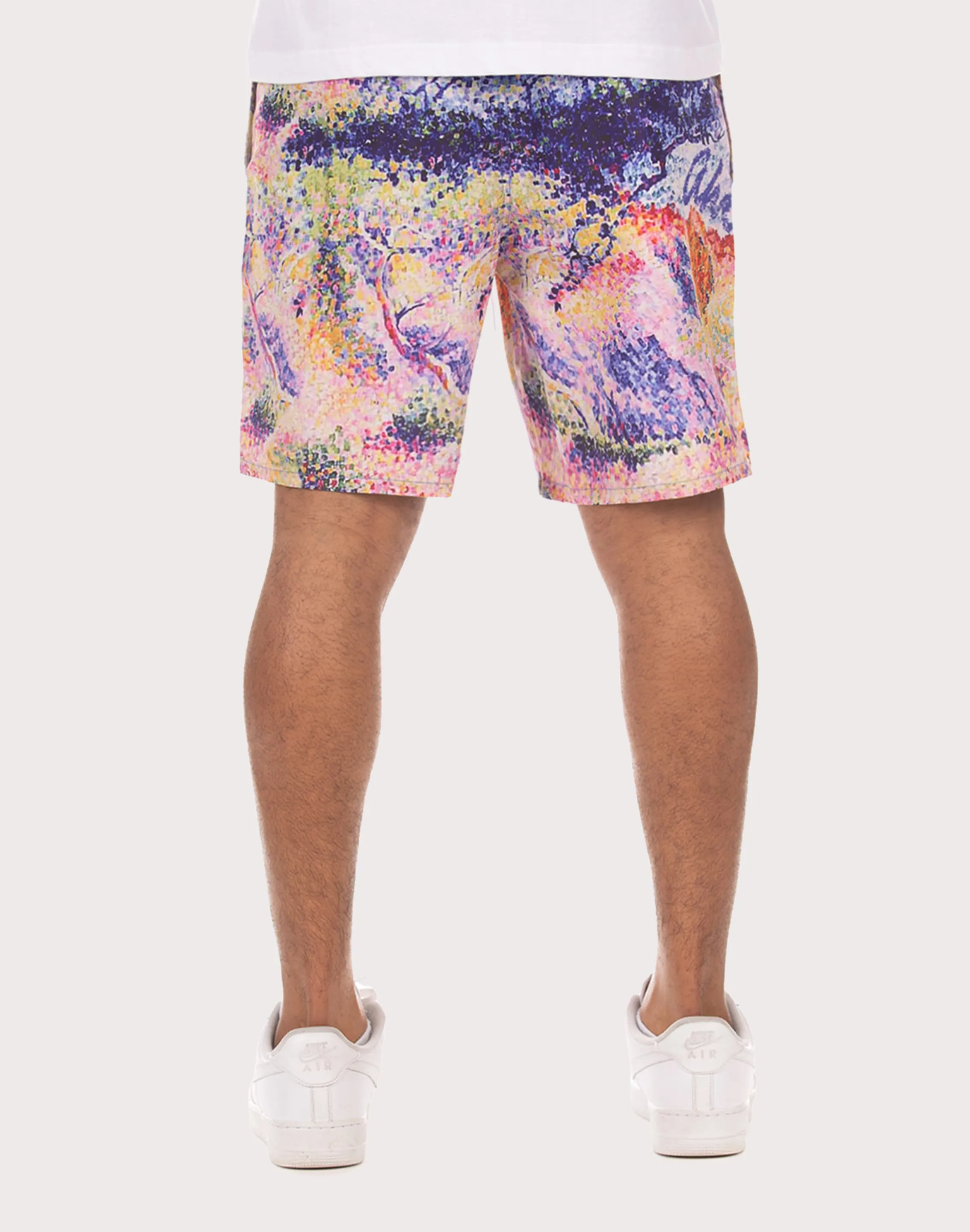 Akoo Landscape Nylon Mens' Printed Shorts