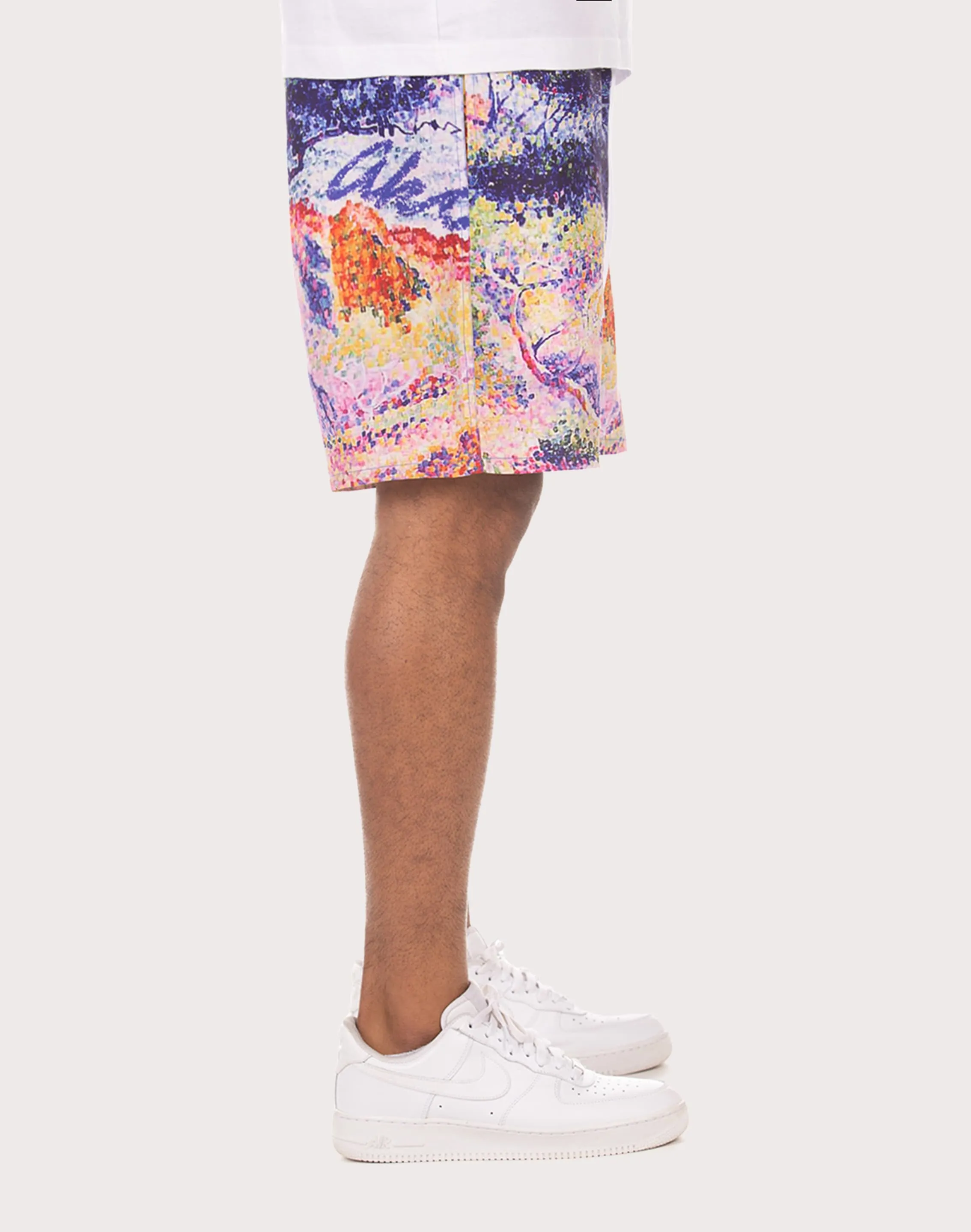 Akoo Landscape Nylon Mens' Printed Shorts