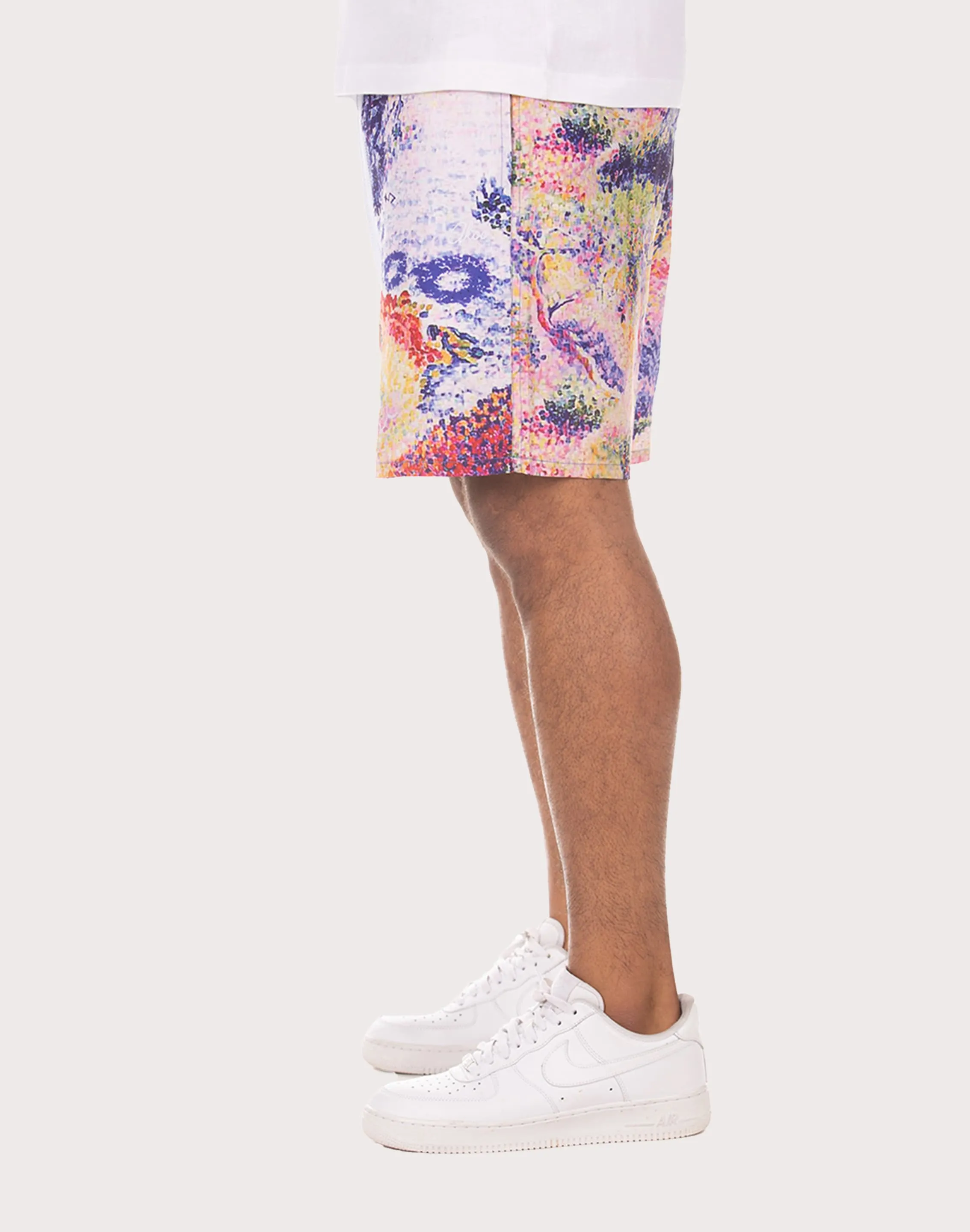 Akoo Landscape Nylon Mens' Printed Shorts