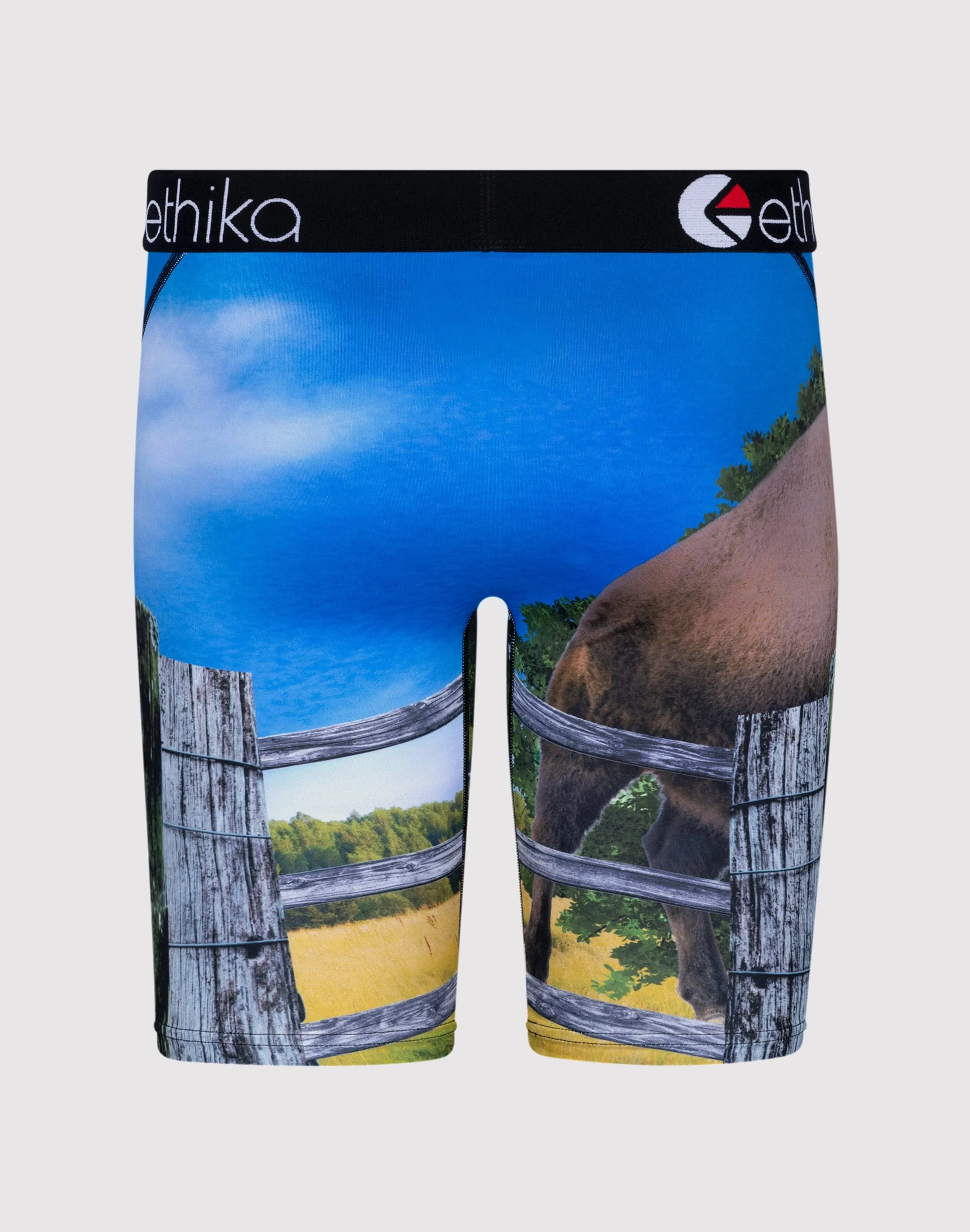 Ethika Bustin Buffalo Boxer Briefs