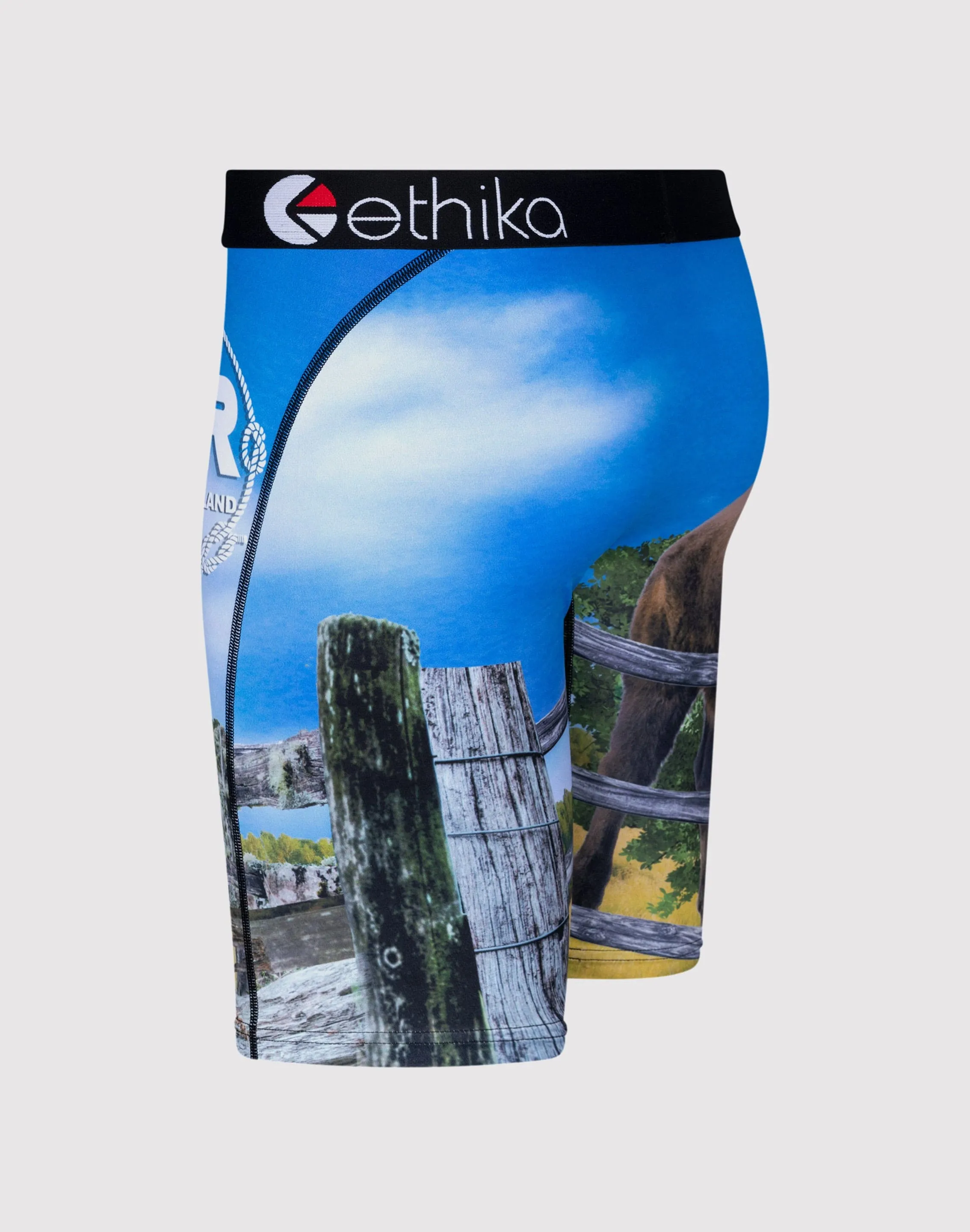 Ethika Bustin Buffalo Boxer Briefs