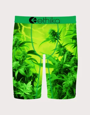 Ethika Emjay Boxer Briefs