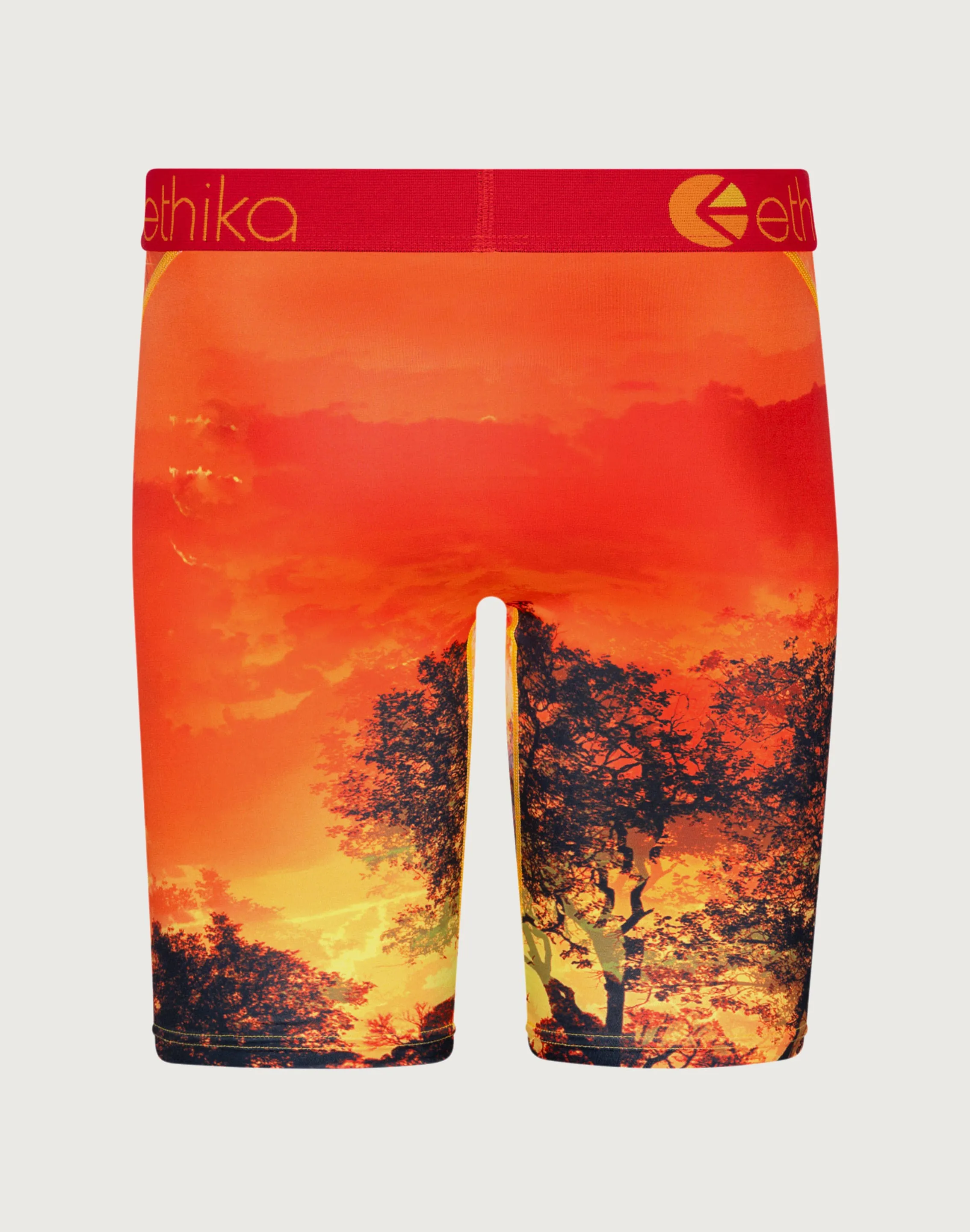 Ethika King Of The Jungle Boxer Briefs