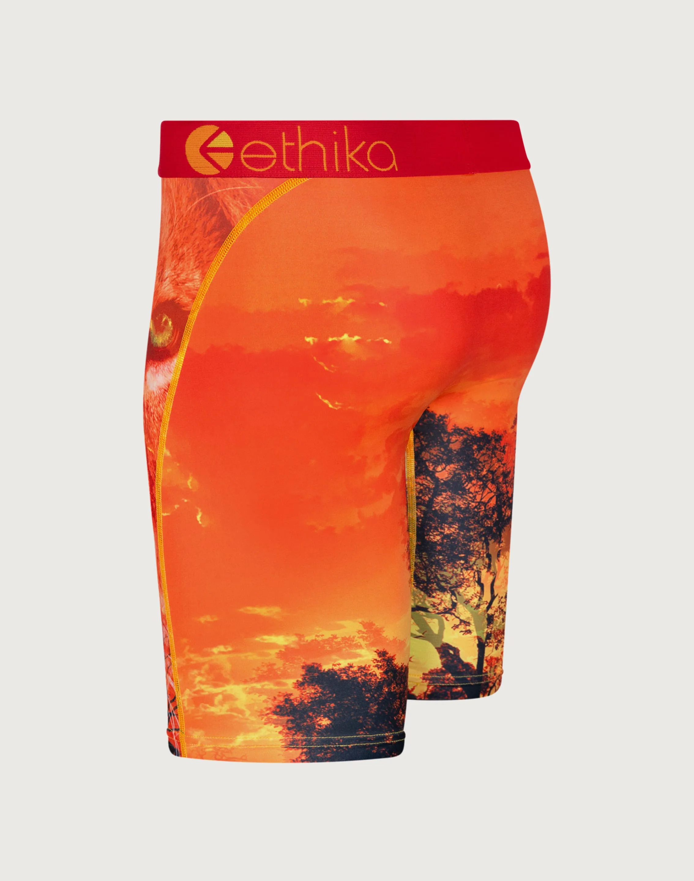 Ethika King Of The Jungle Boxer Briefs
