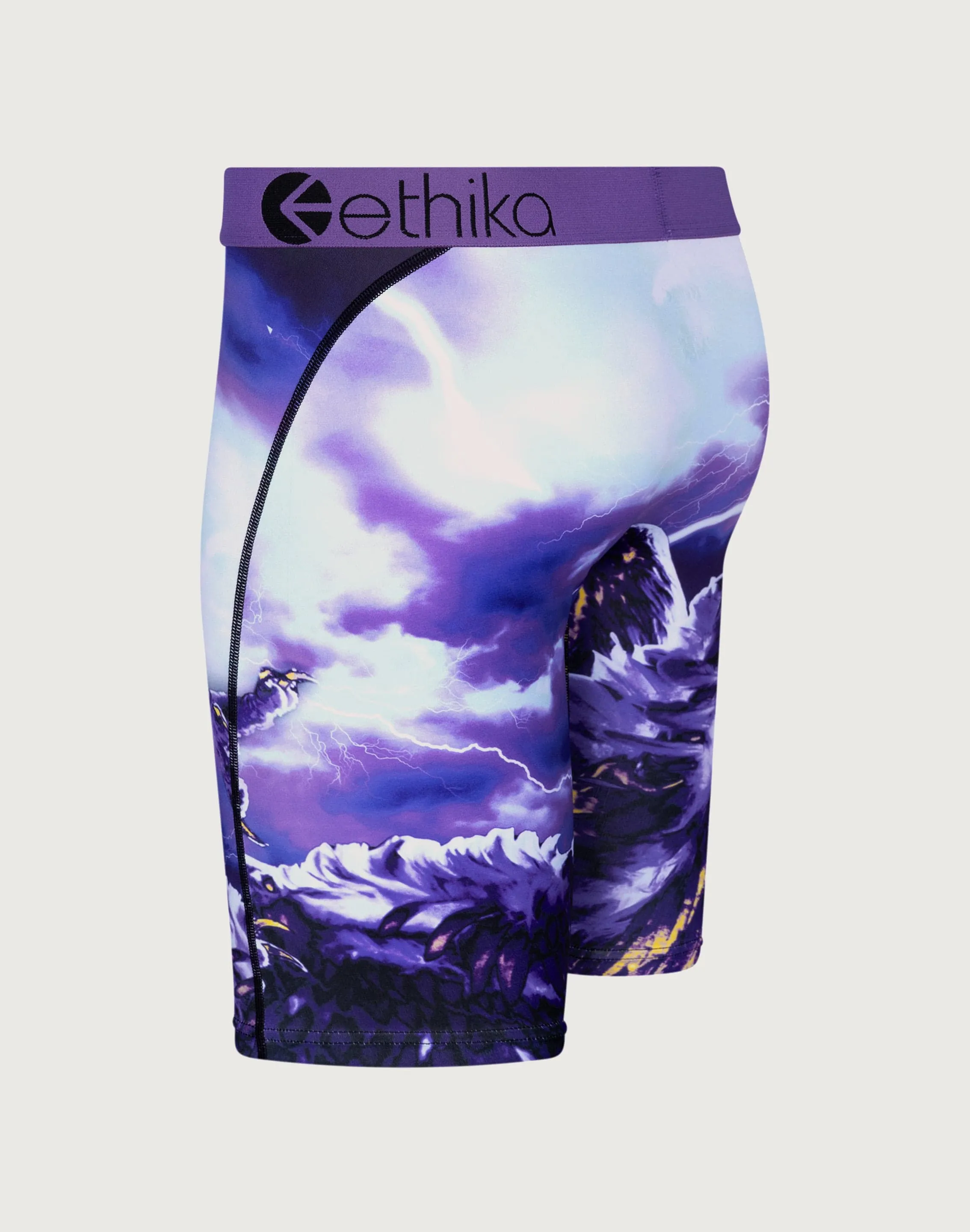 Ethika Two Birds Boxer Briefs