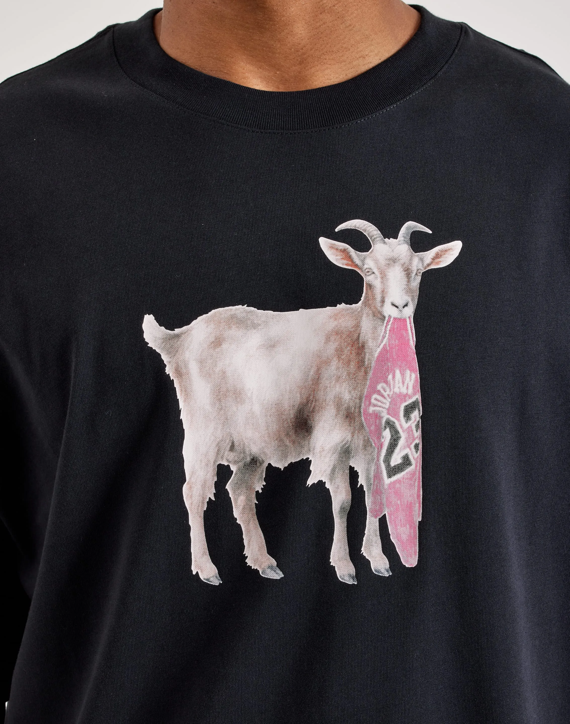 Jordan GOAT Tee