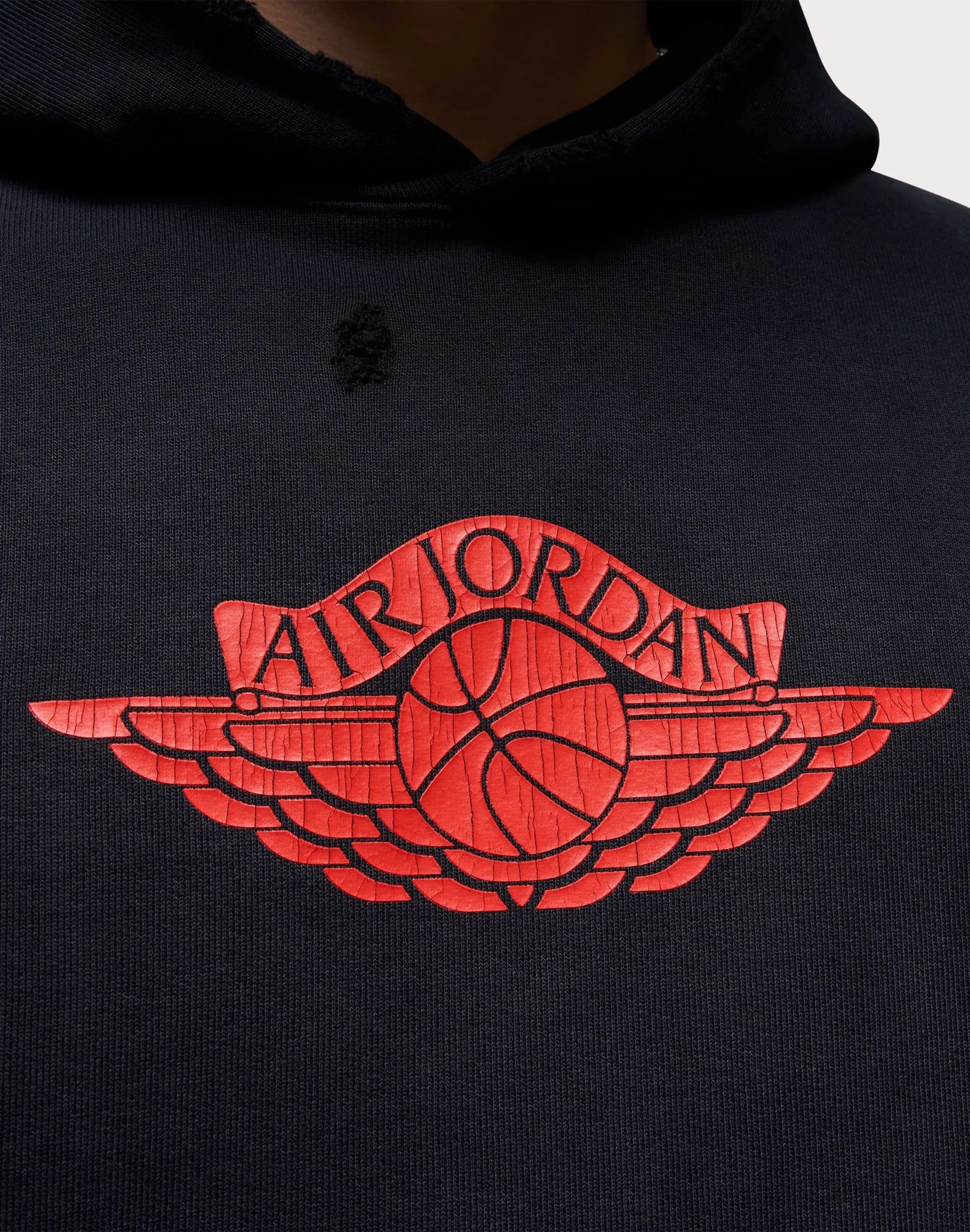 Jordan Jordan Rare Air Fleece Pullover Hoodie