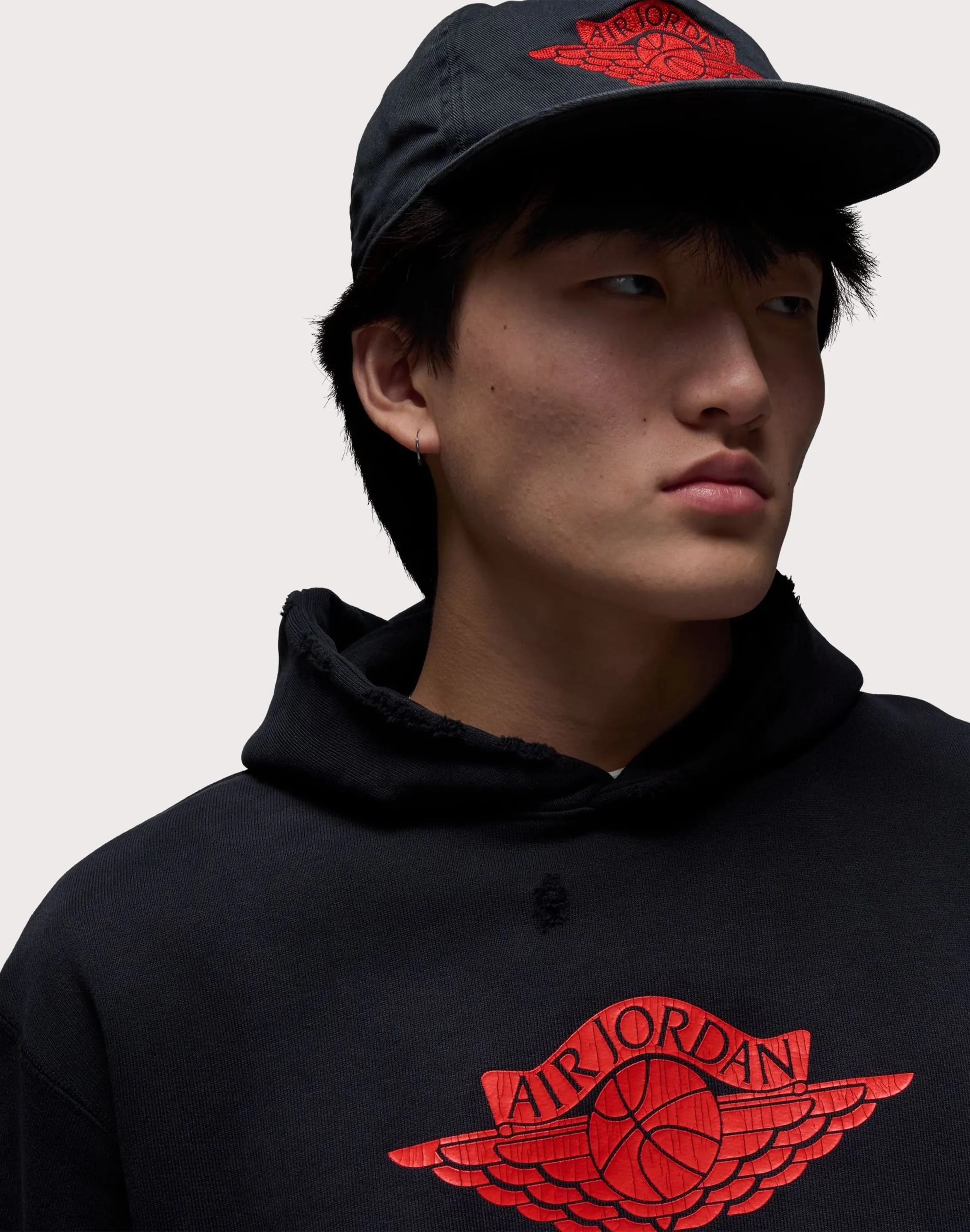 Jordan Jordan Rare Air Fleece Pullover Hoodie