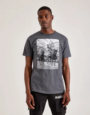 Popular Demand Dobermanns Tee