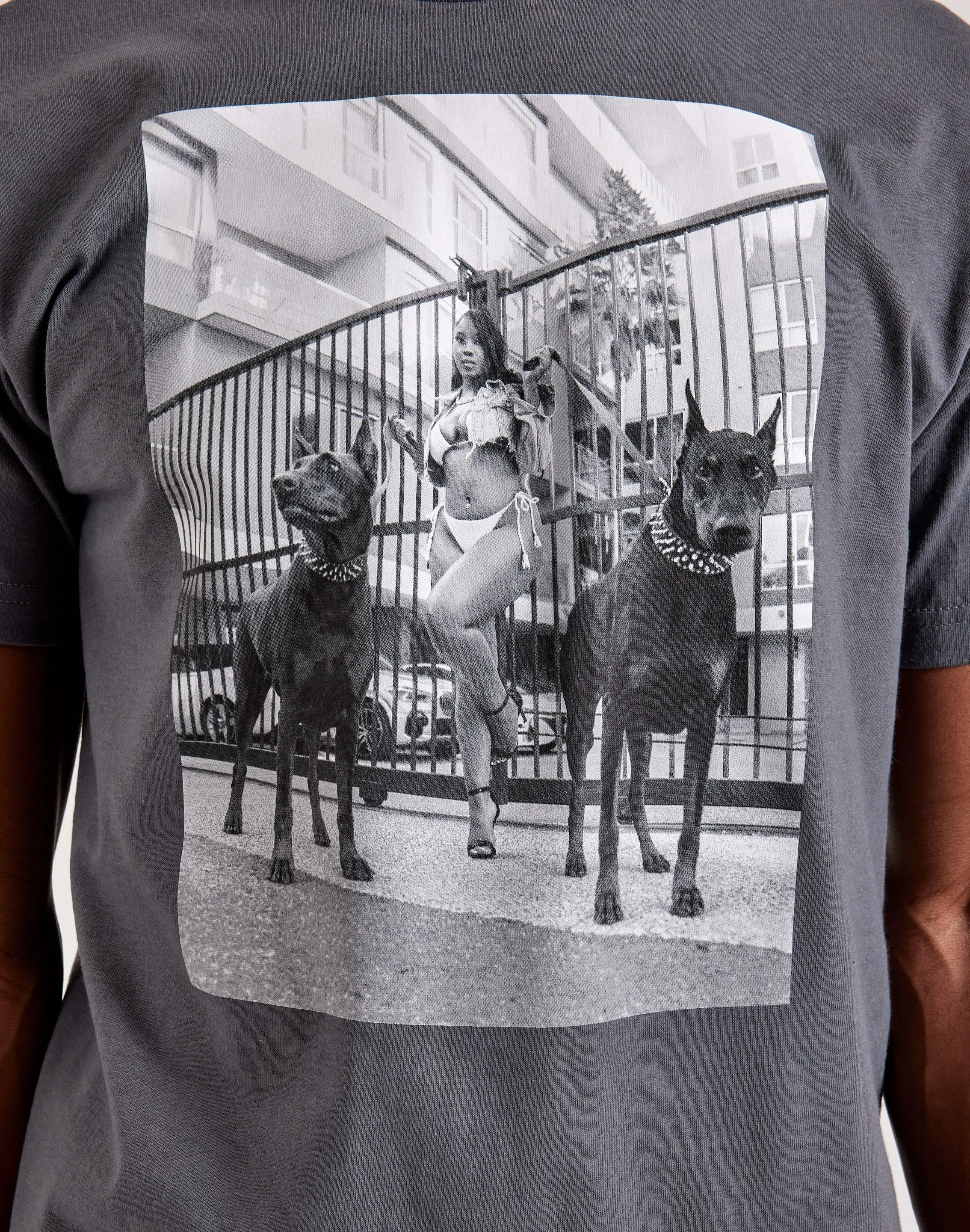 Popular Demand Dobermanns Tee