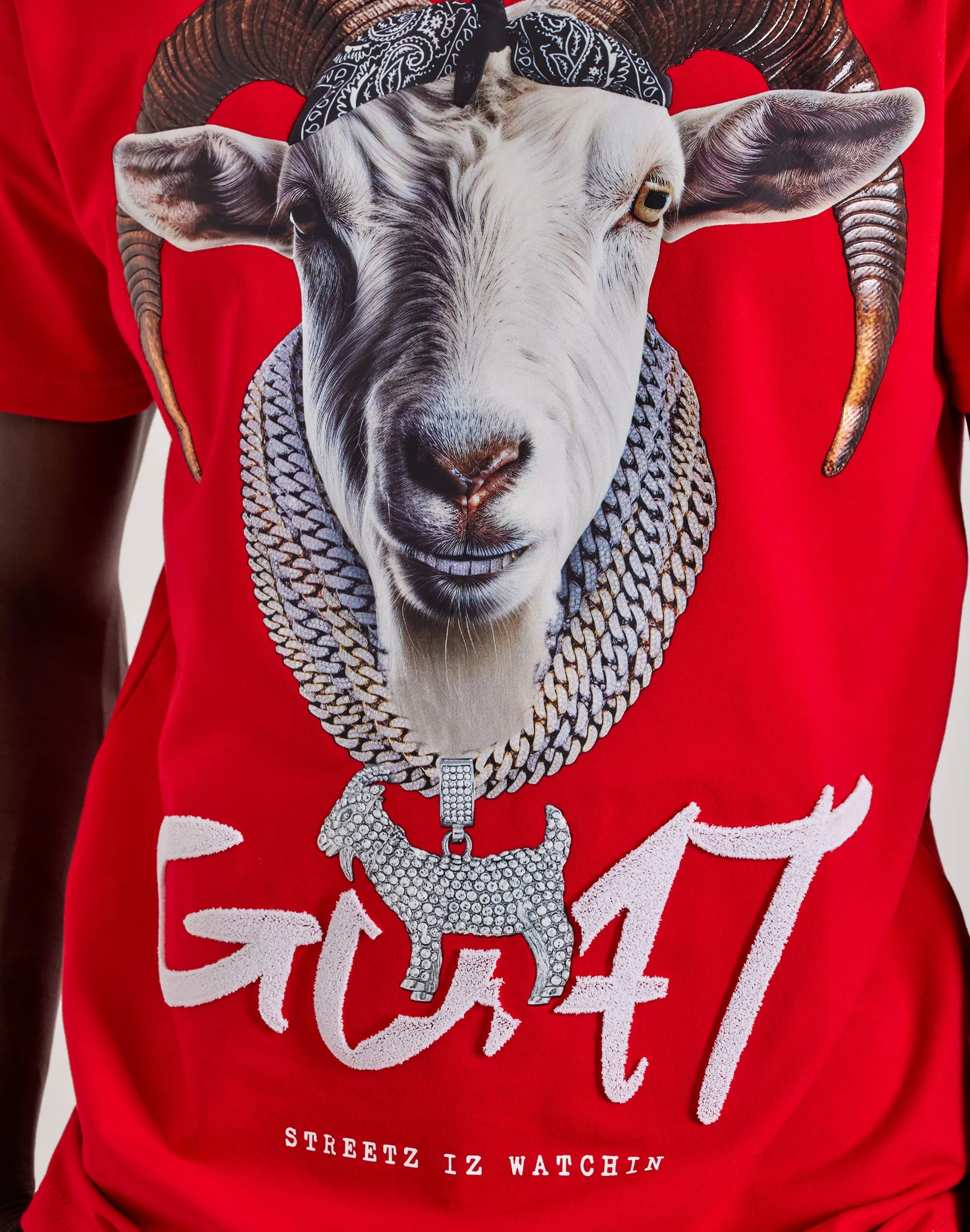 Streetz Iz Watchin Goat Tee