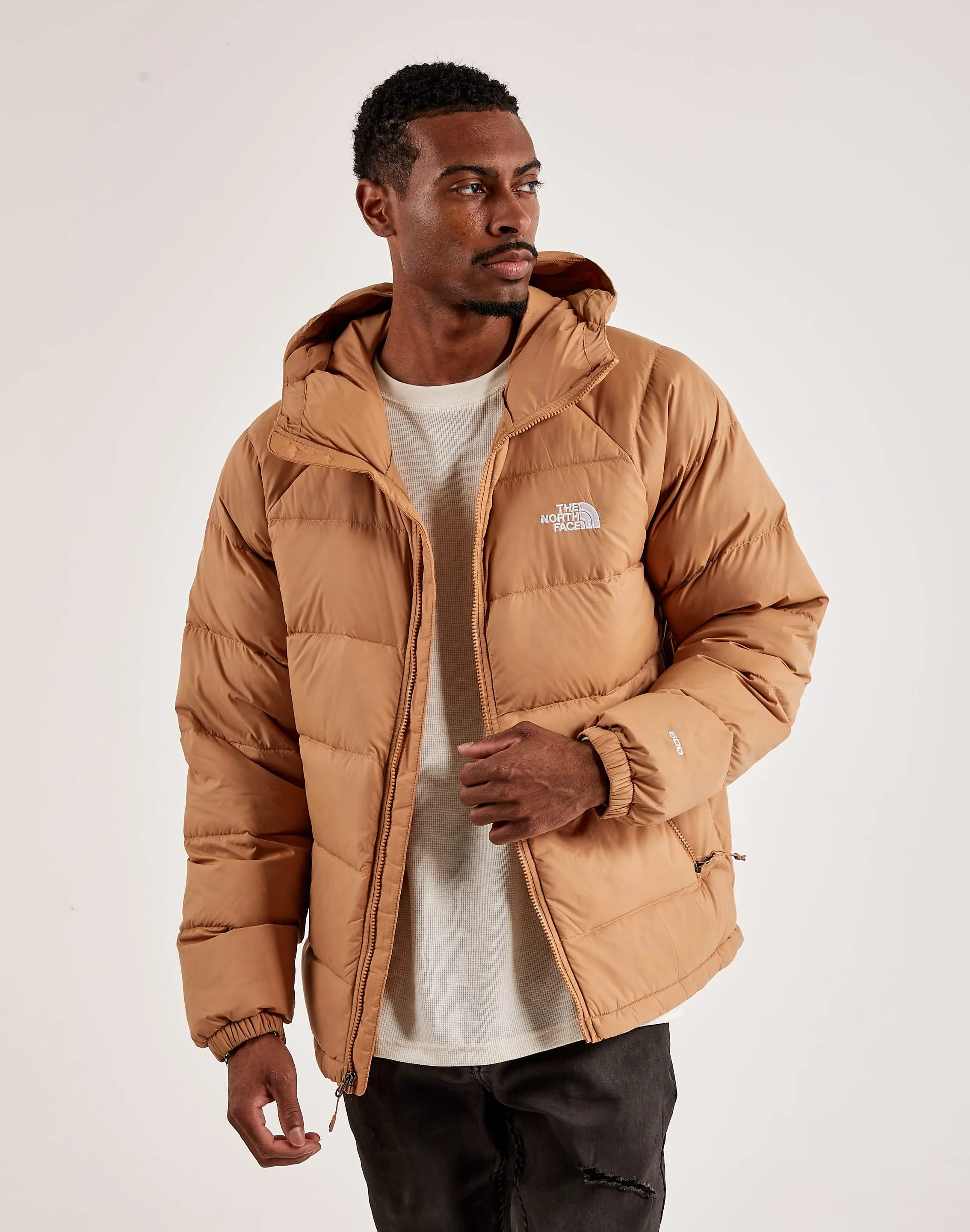 The North Face Hydrenalite Down Hoodie